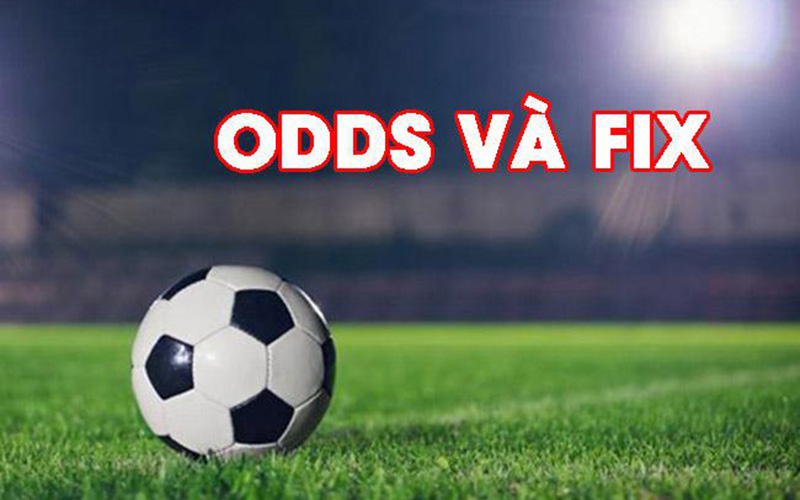 Odds và Fix trong cá độ bóng đá là gì?